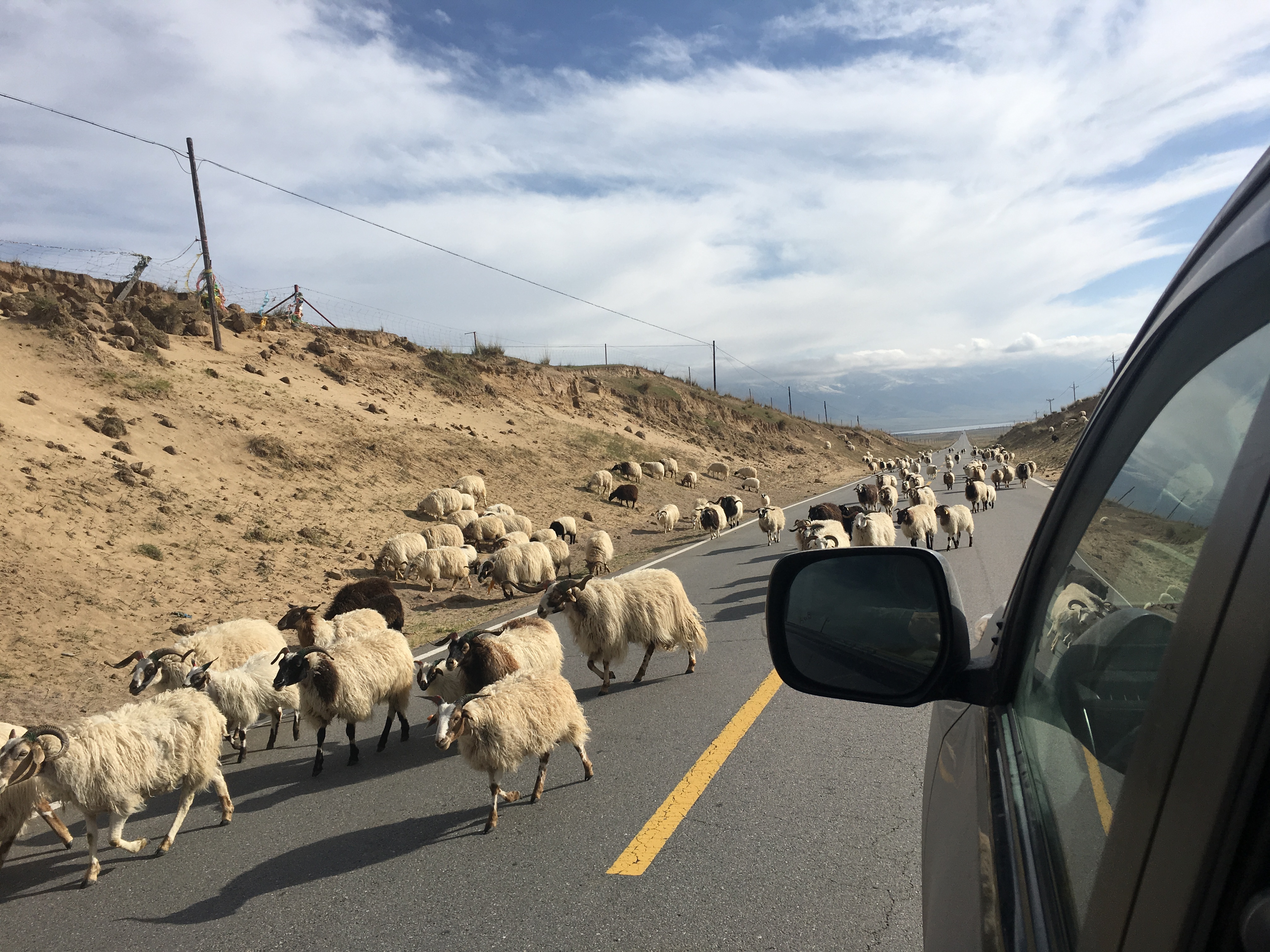 Mit dem eigenen Fahrzeug nach China